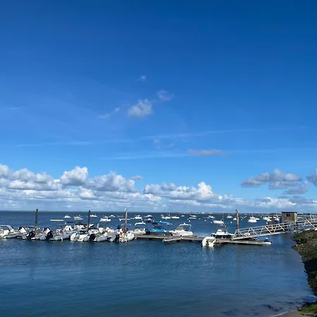 Sur Le Port Avec Vue Bassin Arcachon