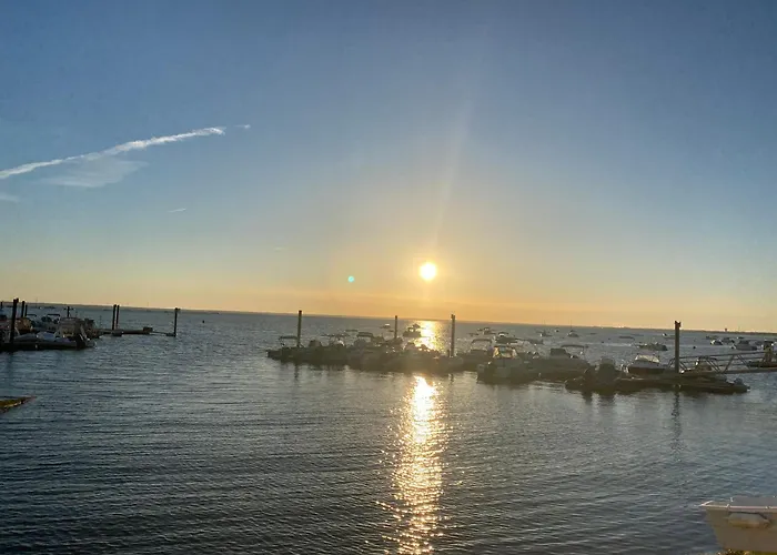 Sur Le Port Avec Vue Bassin *